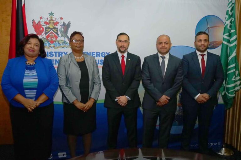 Ministry of Energy and Energy Industries | Minister Young meets with ...